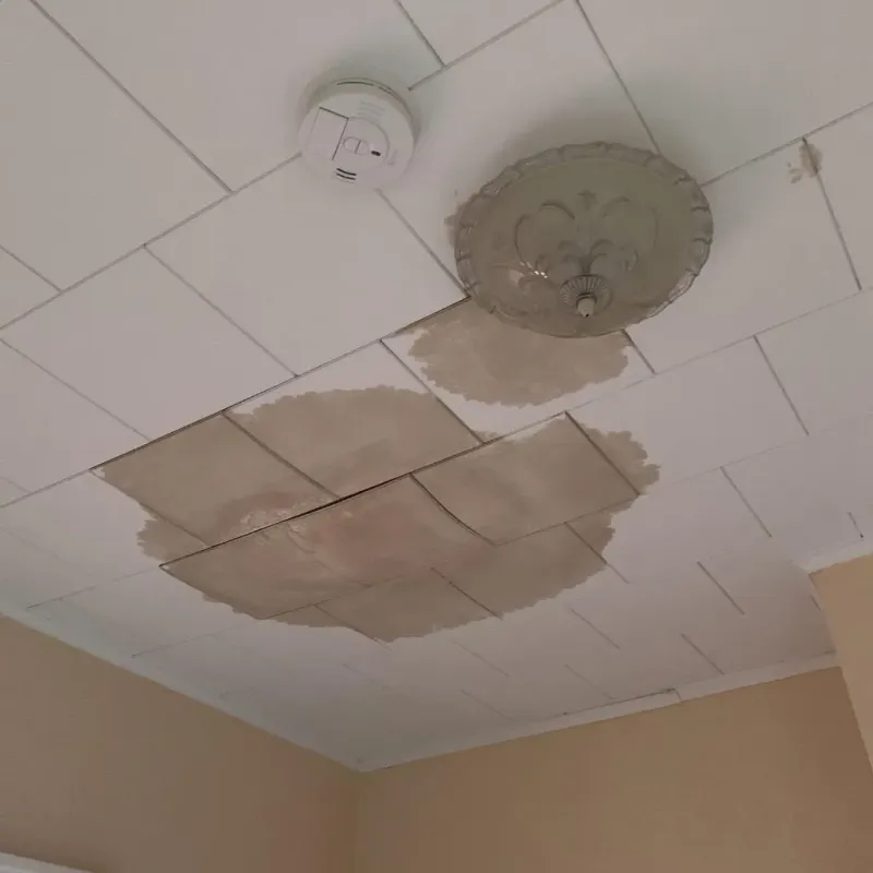 Ceiling Water Damage Repair in Pine Bluff, AR