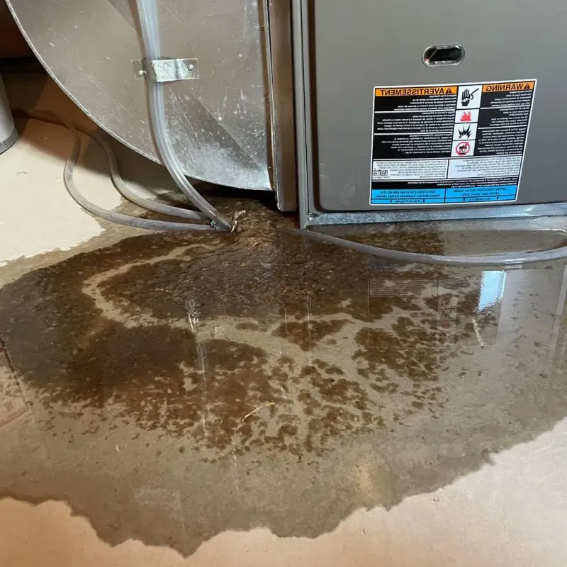 Pipe Burst and Leak Restoration in Pine Bluff, AR