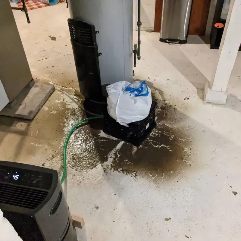 Sewage Backup Cleanup Service in Pine Bluff, AR